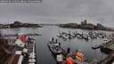./images/victoria/wharf/20260319/wharf20260319_111502M.jpg