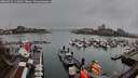 ./images/victoria/wharf/20260319/wharf20260319_112002M.jpg