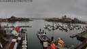 ./images/victoria/wharf/20260319/wharf20260319_113501M.jpg