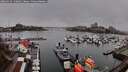 ./images/victoria/wharf/20260319/wharf20260319_120001M.jpg