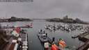 ./images/victoria/wharf/20260319/wharf20260319_120501M.jpg