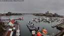 ./images/victoria/wharf/20260319/wharf20260319_121501M.jpg