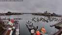 ./images/victoria/wharf/20260319/wharf20260319_130002M.jpg