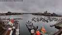 ./images/victoria/wharf/20260319/wharf20260319_131002M.jpg