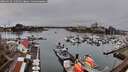 ./images/victoria/wharf/20260319/wharf20260319_142501M.jpg