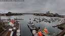 ./images/victoria/wharf/20260319/wharf20260319_145501M.jpg