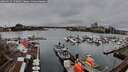 ./images/victoria/wharf/20260319/wharf20260319_150001M.jpg