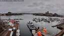 ./images/victoria/wharf/20260319/wharf20260319_154502M.jpg