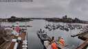 ./images/victoria/wharf/20260319/wharf20260319_160001M.jpg
