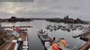 ./images/victoria/wharf/20260319/wharf20260319_161501M.jpg