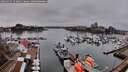 ./images/victoria/wharf/20260319/wharf20260319_163001M.jpg
