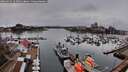 ./images/victoria/wharf/20260319/wharf20260319_163501M.jpg