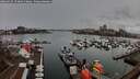 ./images/victoria/wharf/20260319/wharf20260319_174001M.jpg