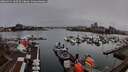 ./images/victoria/wharf/20260319/wharf20260319_180501M.jpg