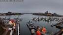 ./images/victoria/wharf/20260320/wharf20260320_073502M.jpg