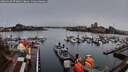 ./images/victoria/wharf/20260320/wharf20260320_074001M.jpg