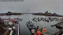 ./images/victoria/wharf/20260320/wharf20260320_075501M.jpg