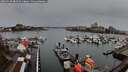 ./images/victoria/wharf/20260320/wharf20260320_084501M.jpg