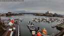 ./images/victoria/wharf/20260320/wharf20260320_092501M.jpg
