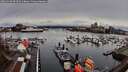 ./images/victoria/wharf/20260320/wharf20260320_094501M.jpg