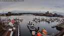 ./images/victoria/wharf/20260320/wharf20260320_101501M.jpg