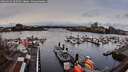 ./images/victoria/wharf/20260320/wharf20260320_102501M.jpg
