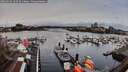 ./images/victoria/wharf/20260320/wharf20260320_103501M.jpg