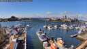 ./images/victoria/wharf/20260320/wharf20260320_133001M.jpg