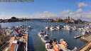 ./images/victoria/wharf/20260320/wharf20260320_142501M.jpg
