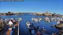 ./images/victoria/wharf/20260321/wharf20260321_091001M.jpg