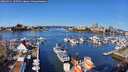 ./images/victoria/wharf/20260321/wharf20260321_105501M.jpg