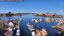 ./images/victoria/wharf/20260321/wharf20260321_110001M.jpg