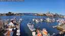 ./images/victoria/wharf/20260321/wharf20260321_113001M.jpg