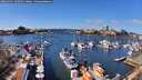 ./images/victoria/wharf/20260321/wharf20260321_130501M.jpg