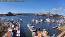 ./images/victoria/wharf/20260321/wharf20260321_133001M.jpg
