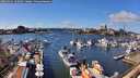 ./images/victoria/wharf/20260321/wharf20260321_142002M.jpg