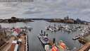 ./images/victoria/wharf/20260322/wharf20260322_141001M.jpg