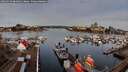 ./images/victoria/wharf/20260323/wharf20260323_084001M.jpg