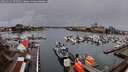 ./images/victoria/wharf/20260324/wharf20260324_075501M.jpg