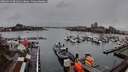./images/victoria/wharf/20260324/wharf20260324_081002M.jpg