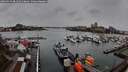 ./images/victoria/wharf/20260324/wharf20260324_081501M.jpg