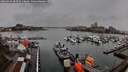 ./images/victoria/wharf/20260324/wharf20260324_083501M.jpg