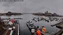 ./images/victoria/wharf/20260324/wharf20260324_085002M.jpg