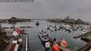 ./images/victoria/wharf/20260324/wharf20260324_085501M.jpg