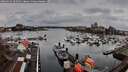 ./images/victoria/wharf/20260324/wharf20260324_105501M.jpg