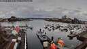 ./images/victoria/wharf/20260324/wharf20260324_110501M.jpg