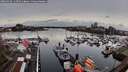 ./images/victoria/wharf/20260324/wharf20260324_113501M.jpg