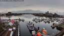 ./images/victoria/wharf/20260324/wharf20260324_114001M.jpg