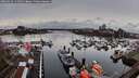 ./images/victoria/wharf/20260324/wharf20260324_114501M.jpg