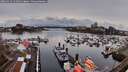 ./images/victoria/wharf/20260324/wharf20260324_122501M.jpg